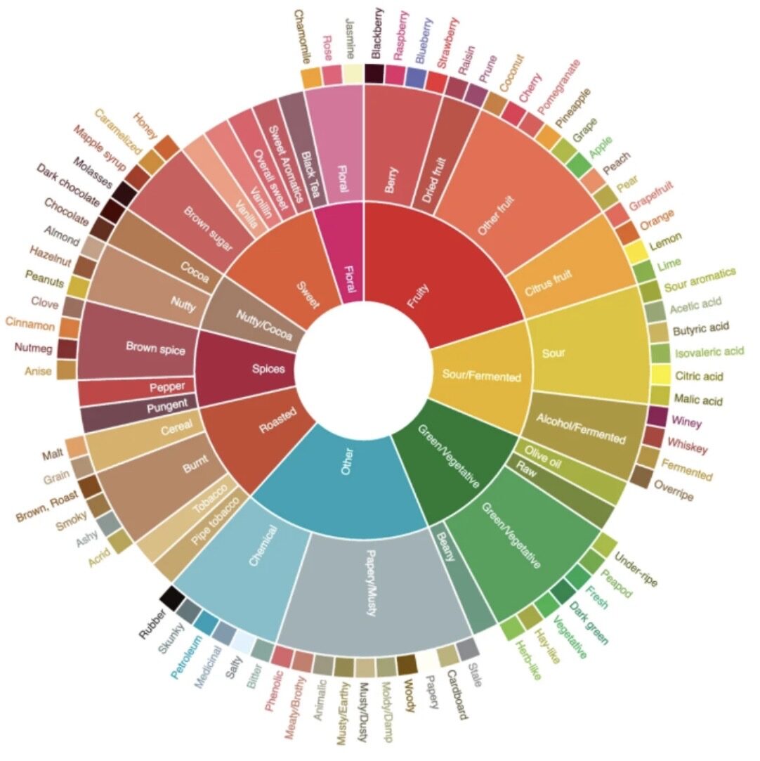 Das Coffee Taster's Flavor Wheel der SCA mit über 100 Aromen